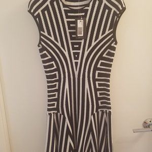 RVN Graphic Stripe Flat Jacquard Flare Dress - NWT